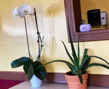 taquieria la michoacana tacoma1
